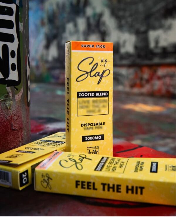 SLAP 2G DISPOSABLE