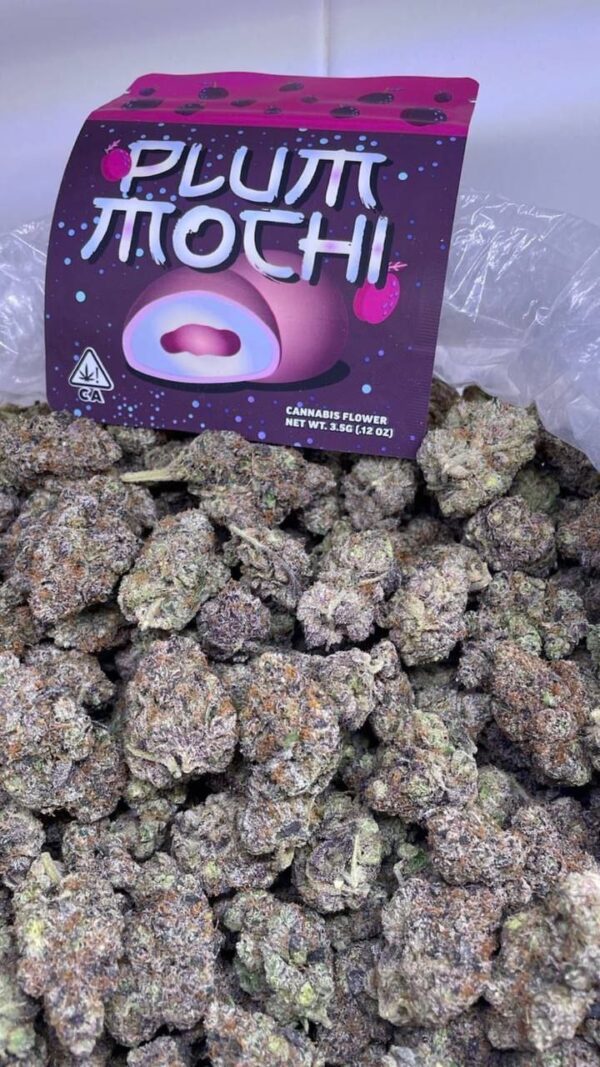 plum mochi strain