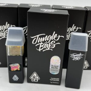 jungle boys 1g disposable